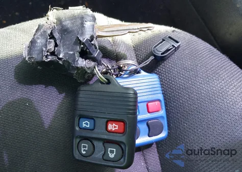 2009 Ford Mustang Gt/Gt Premium z USA, uszkodzony, nr VIN 1ZVHT82H495146300